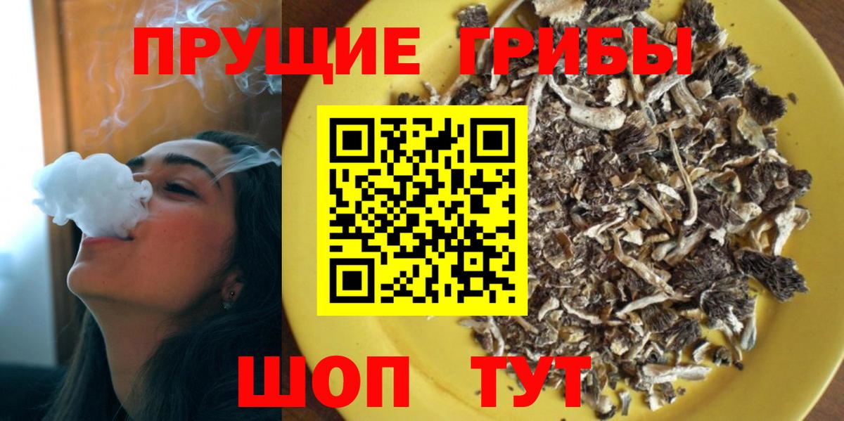 Галлюциногенные грибы Psilocybine cubensis  Вход с VPN  Псилоцибиновые грибы прущие грибы  Дмитров 